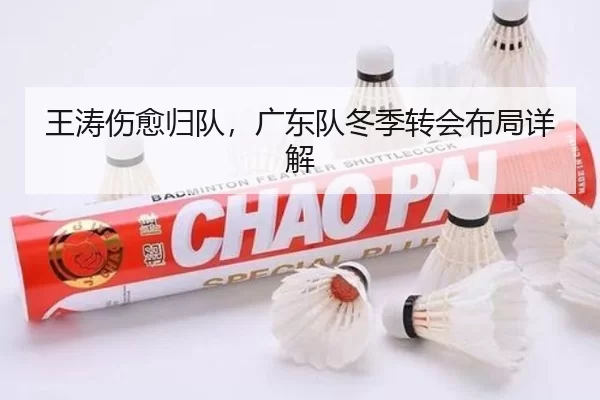 王涛伤愈归队，广东队冬季转会布局详解